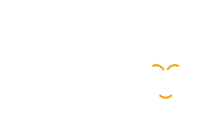 Scrap To School